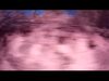 Tracking_Mx_01